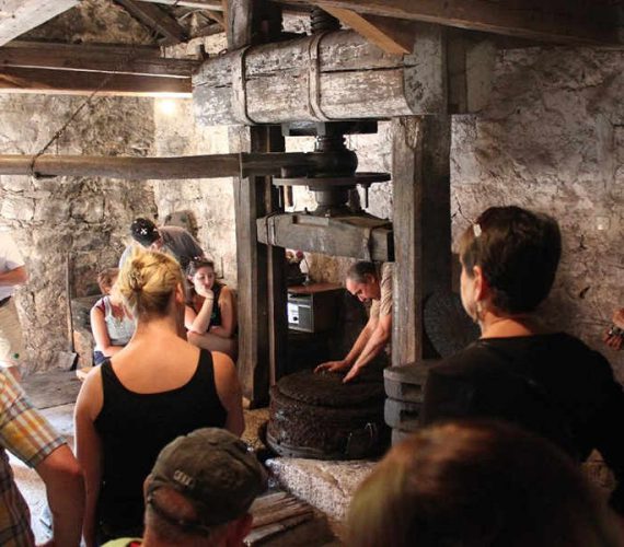 Taste of Dalmatia from Dubrovnik / 46 EUR