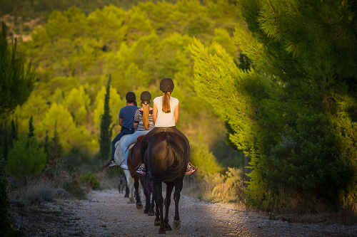 Horseback riding, Dubrovnik countryside